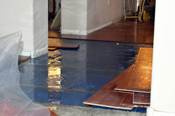 Professional Flood Damage Restoration technician working in Armour, SD